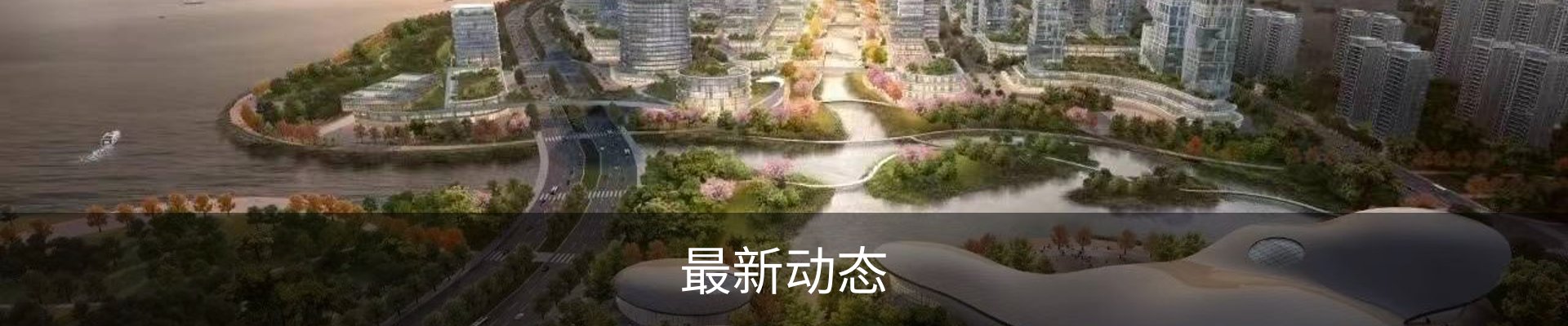 最新动态